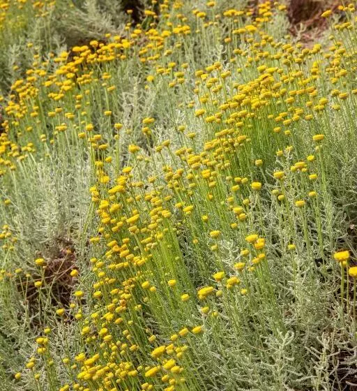 Aamiaismajoitus (B&B) Holiday Prato Verde