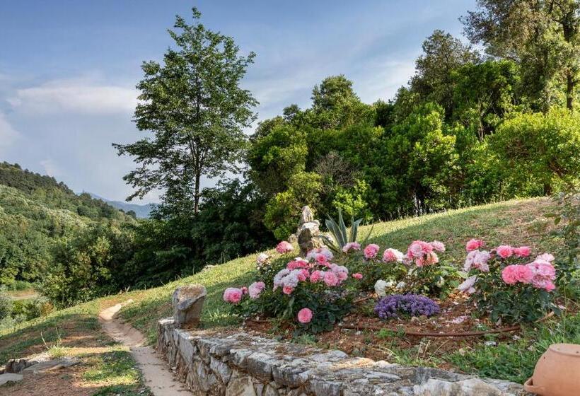 مبيت وإفطار Holiday Prato Verde