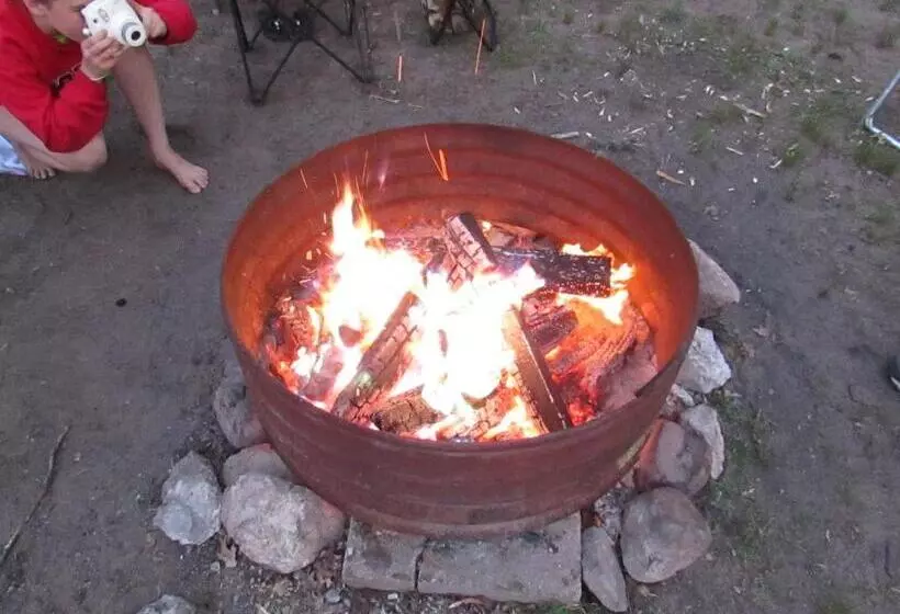 Best Bear Lodge