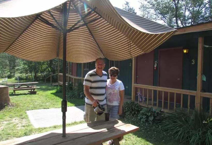 Best Bear Lodge