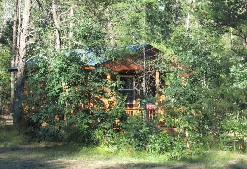 Best Bear Lodge
