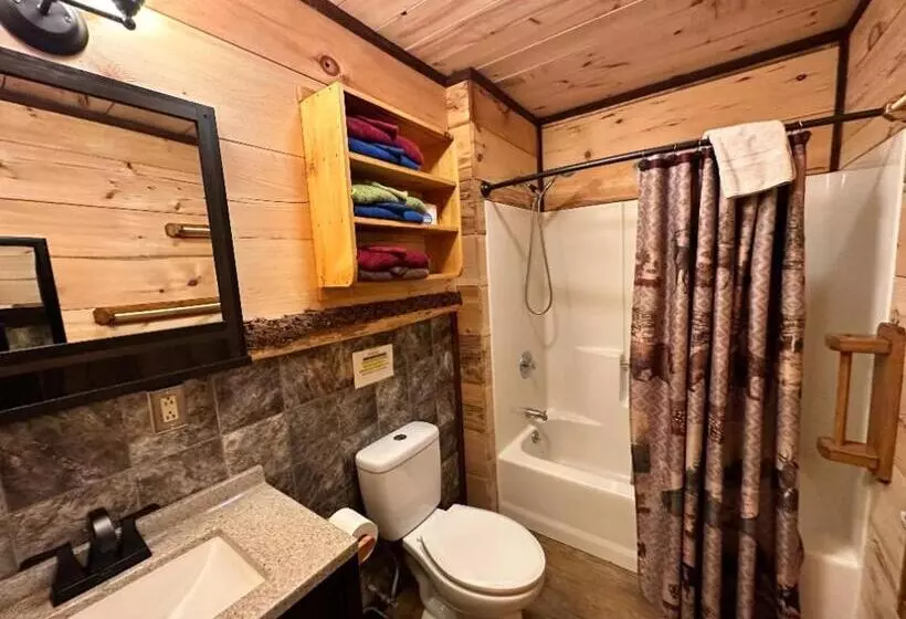 Best Bear Lodge