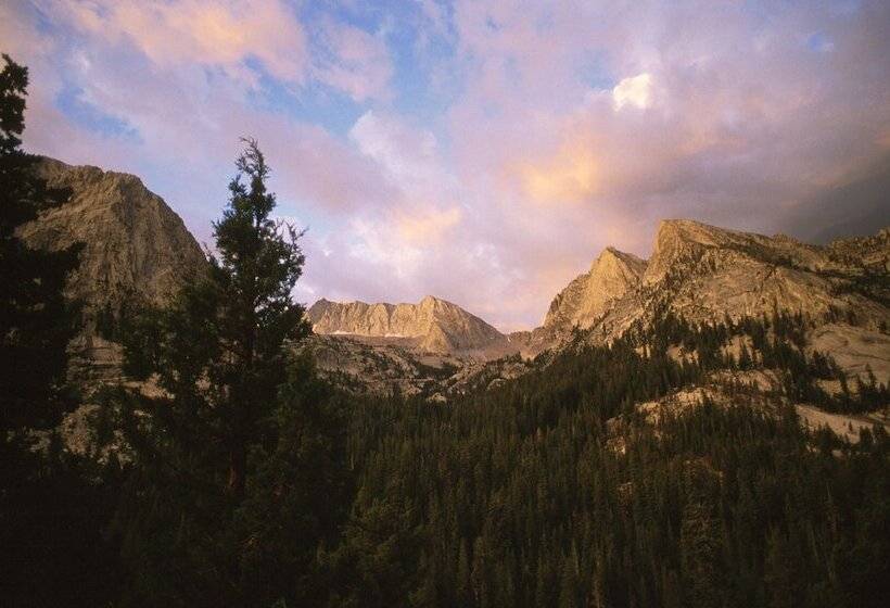 مبيت وإفطار Elliott House Boutique Inn