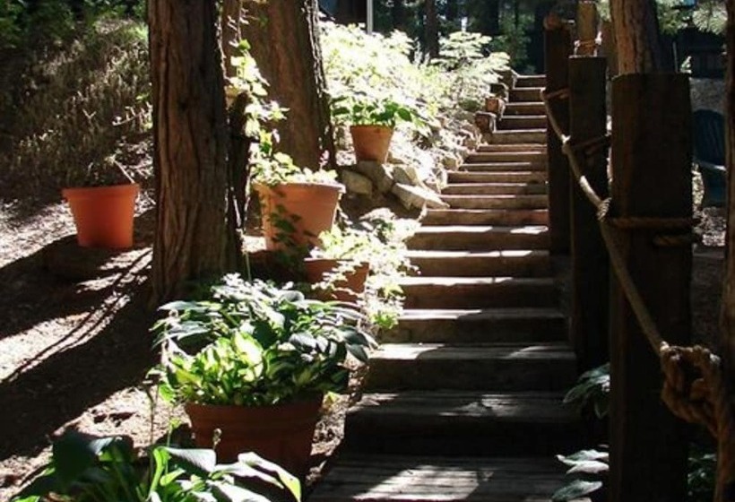 مبيت وإفطار Elliott House Boutique Inn