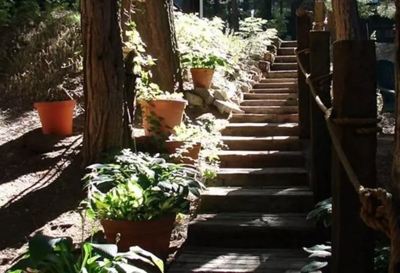 Aamiaismajoitus (B&B) Elliott House Boutique Inn