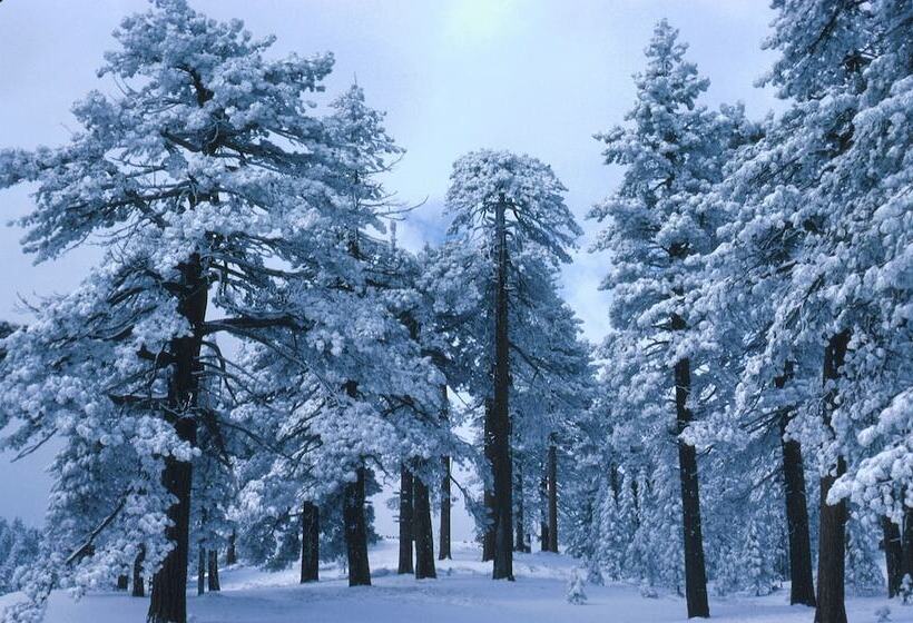 مبيت وإفطار Elliott House Boutique Inn