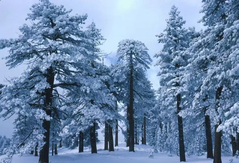 Aamiaismajoitus (B&B) Elliott House Boutique Inn