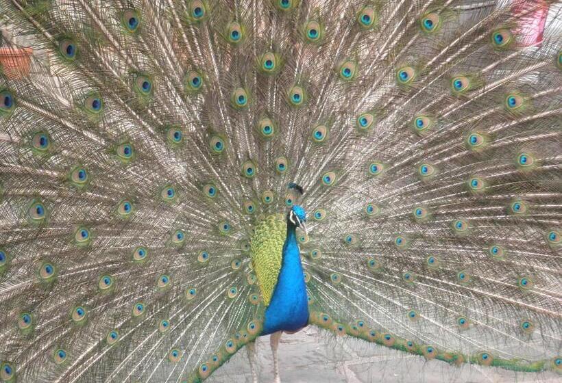 Hotel Agriturismo Castello Di Querceto