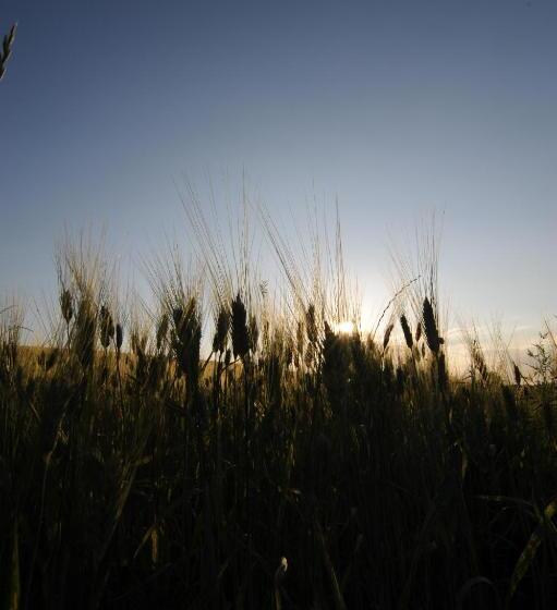 ホテル Agriturismo Scorgiano