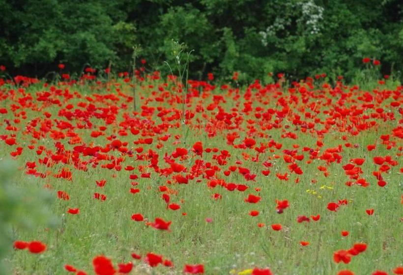 ホテル Agriturismo Scorgiano