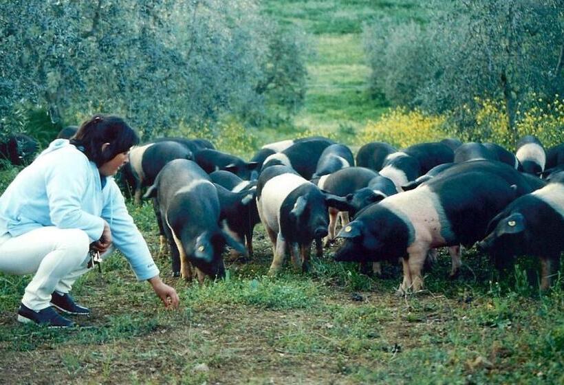 ホテル Agriturismo Scorgiano