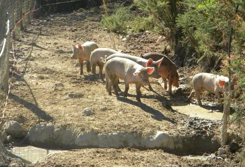 Hotelli I Gelsi E I Castagni