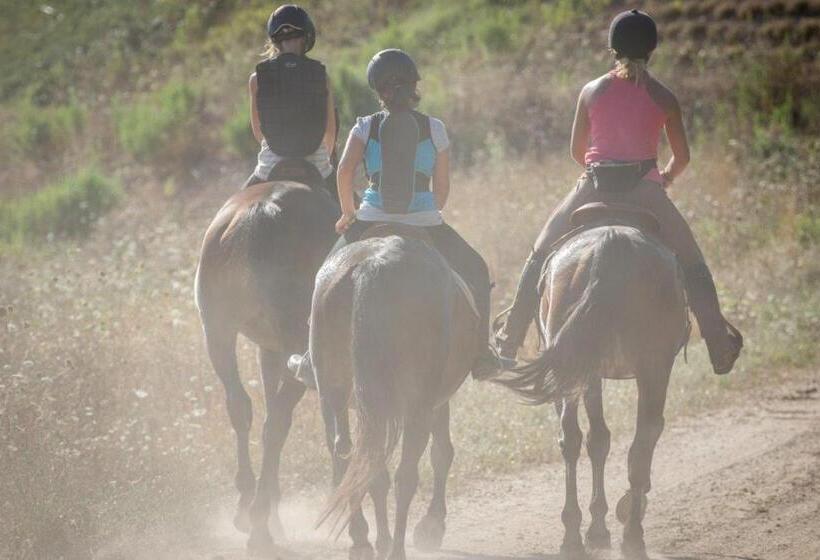 ホテル Tenuta del Fontino