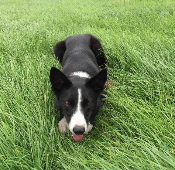 The Old Nurseries B & B