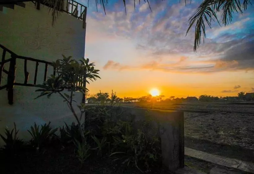 Aamiaismajoitus (B&B) The Anara Surfing Camp