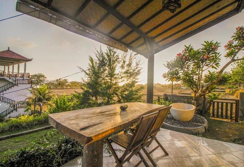 住宿加早餐 The Anara Surfing Camp