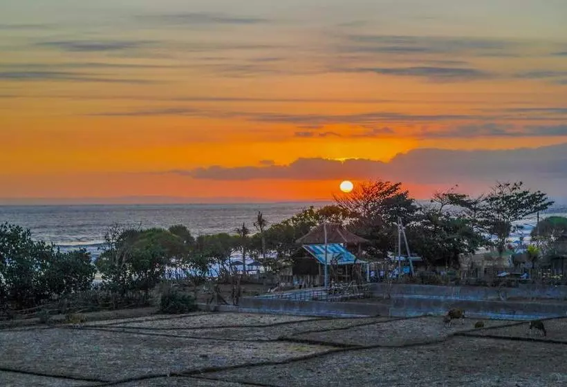 Aamiaismajoitus (B&B) The Anara Surfing Camp