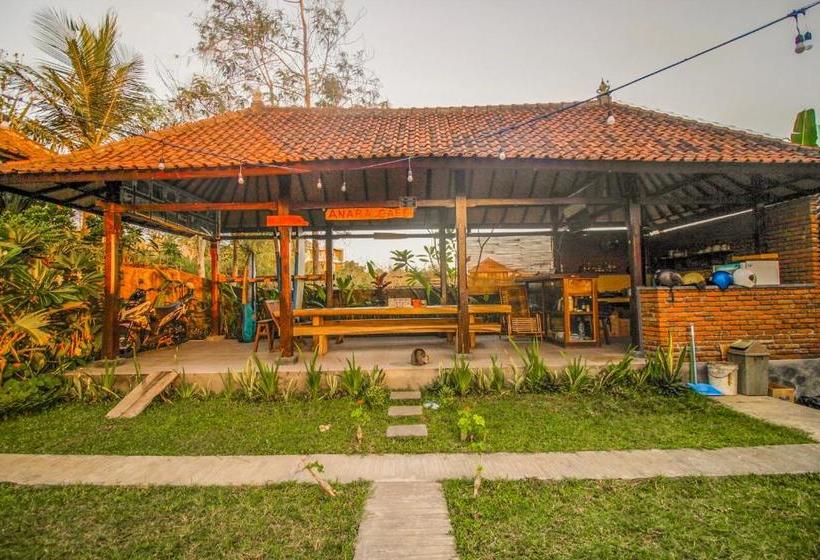 住宿加早餐 The Anara Surfing Camp