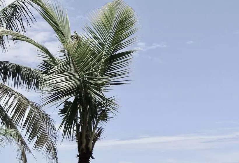 Majatalo Dikaloha Medewi Surfcamp