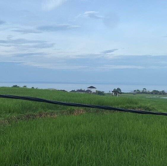 膳宿费 Dikaloha Medewi Surfcamp