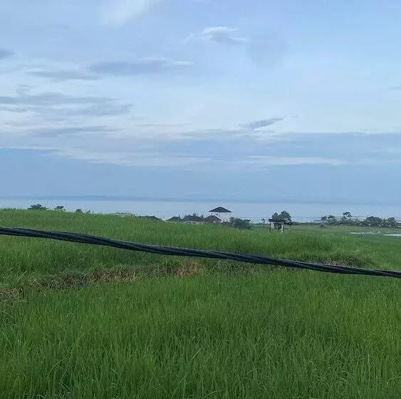 Majatalo Dikaloha Medewi Surfcamp