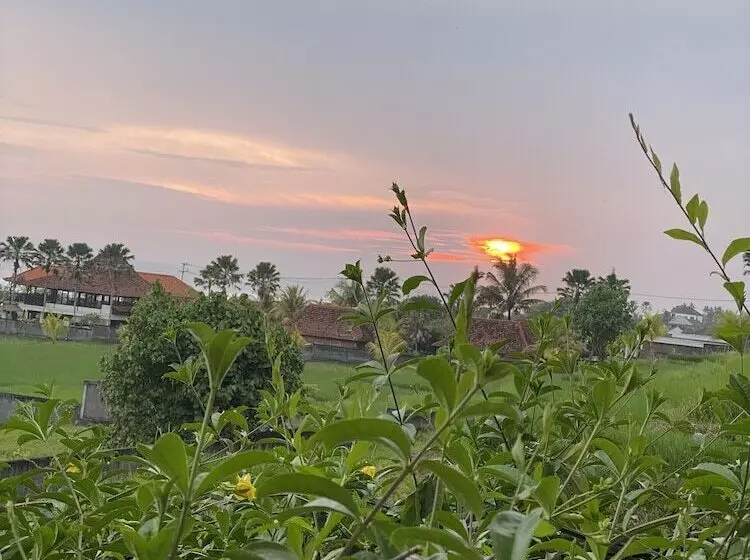 Majatalo Dikaloha Medewi Surfcamp