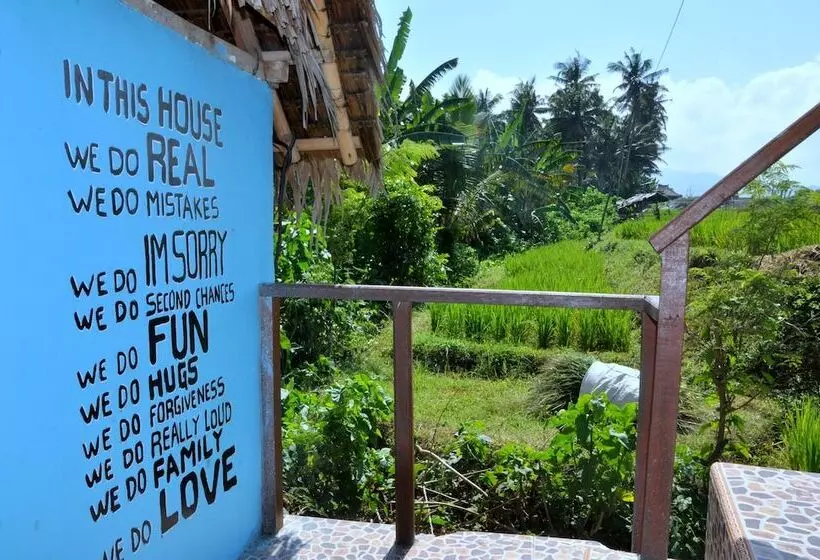 Majatalo Dikaloha Medewi Surfcamp