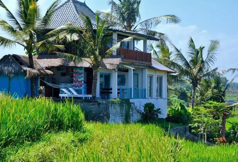 Majatalo Dikaloha Medewi Surfcamp