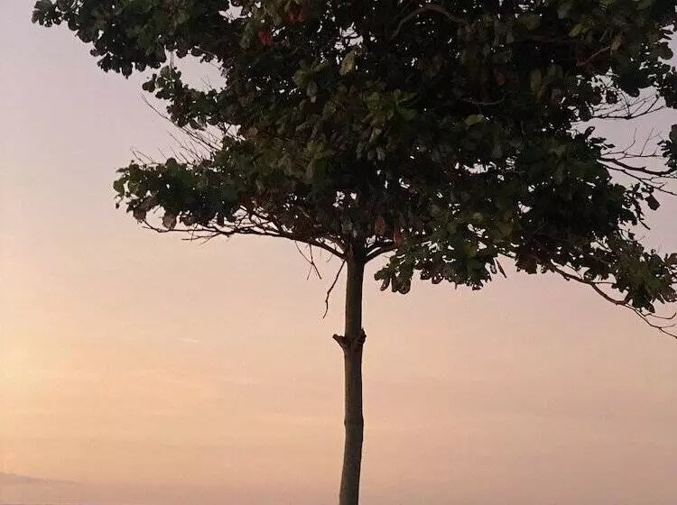 Majatalo Dikaloha Medewi Surfcamp