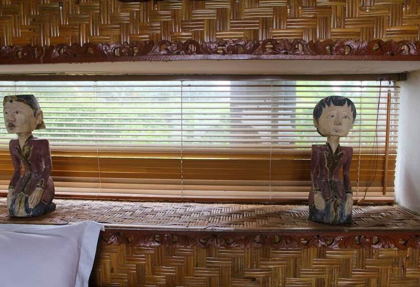 膳宿费 Dikaloha Medewi Surfcamp