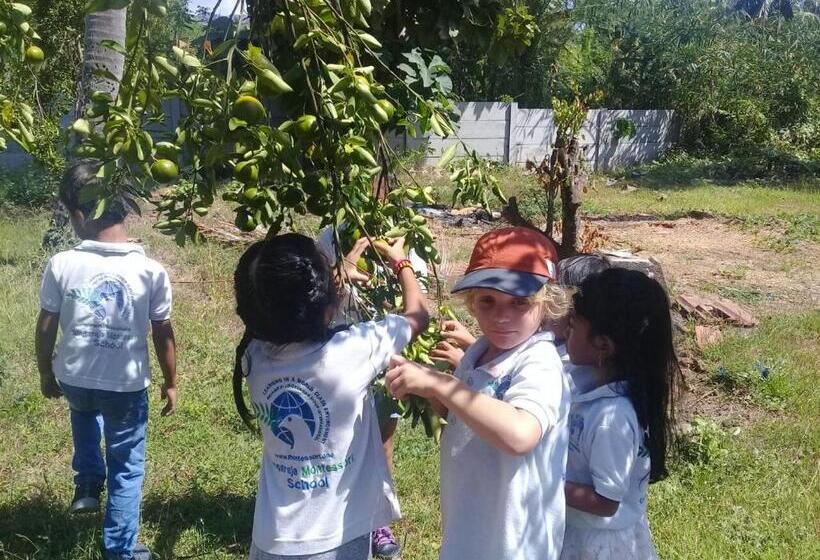 הוסטל Buana Ecofarm Ecolodge