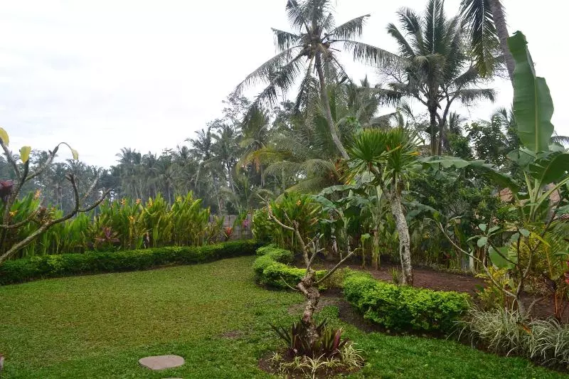تختخواب و صبحانه Buda Cottage Ubud