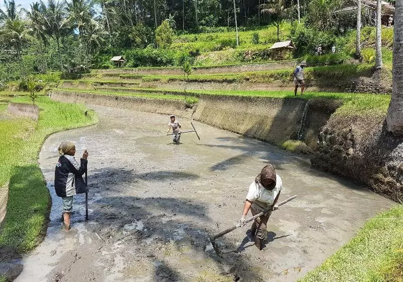 تختخواب و صبحانه Buda Cottage Ubud