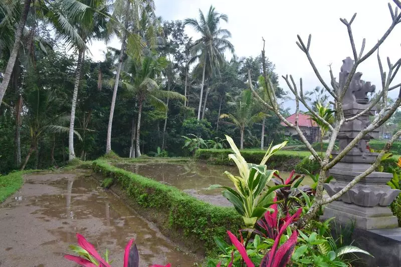 تختخواب و صبحانه Buda Cottage Ubud