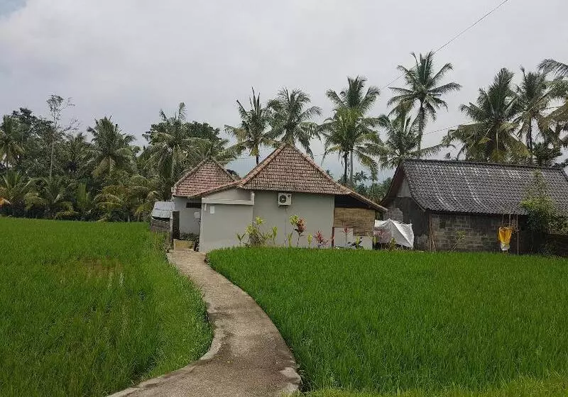 تختخواب و صبحانه Buda Cottage Ubud