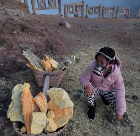 Aamiaismajoitus (B&B) Kopikuin Bromo Homestay