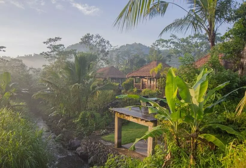 ベッドアンドブレックファースト The Campuan Villa