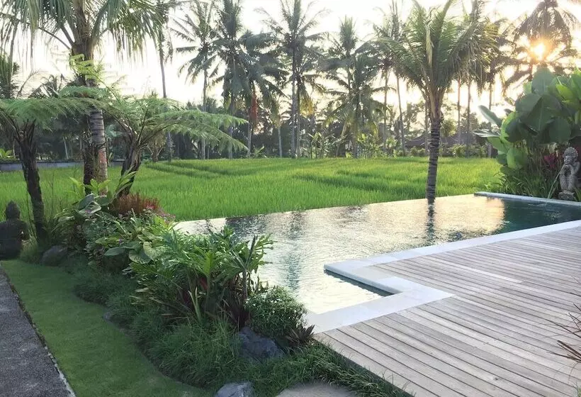Aamiaismajoitus (B&B) The Suris Ubud