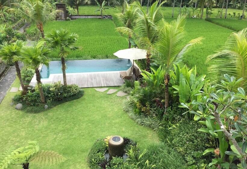 住宿加早餐 The Suris Ubud