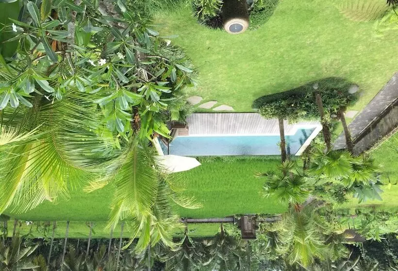 Aamiaismajoitus (B&B) The Suris Ubud