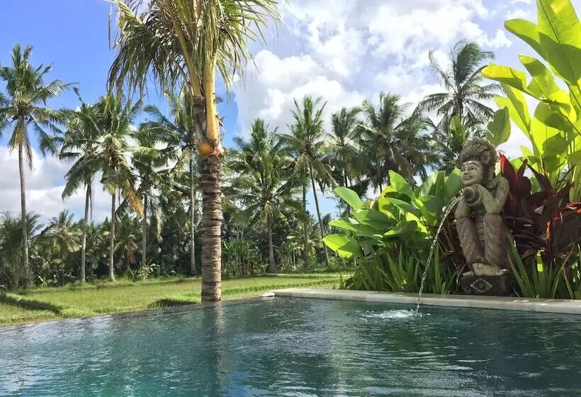 Aamiaismajoitus (B&B) The Suris Ubud