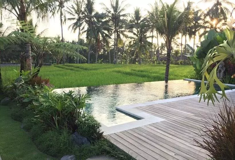 Aamiaismajoitus (B&B) The Suris Ubud