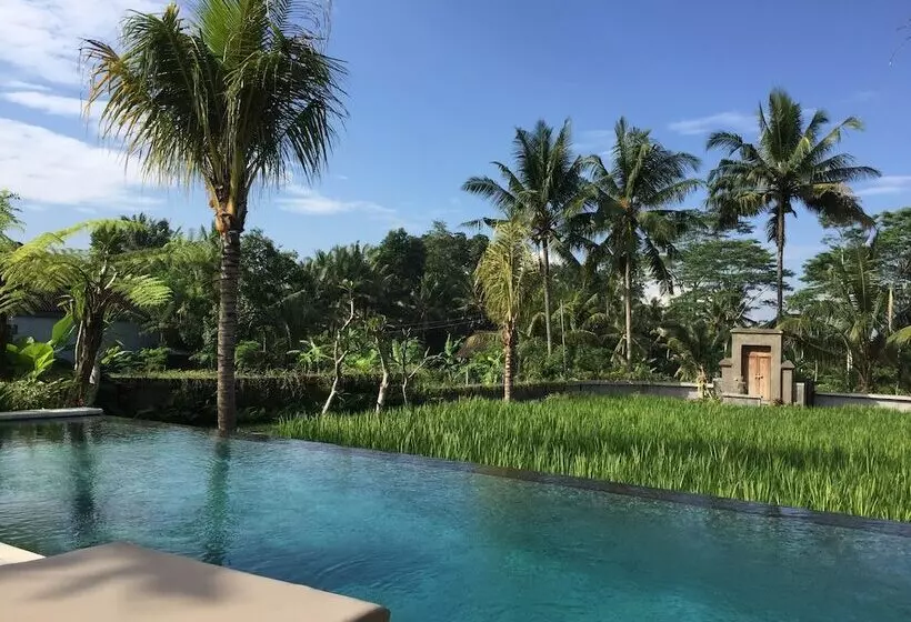 Aamiaismajoitus (B&B) The Suris Ubud