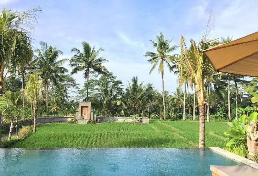 Aamiaismajoitus (B&B) The Suris Ubud