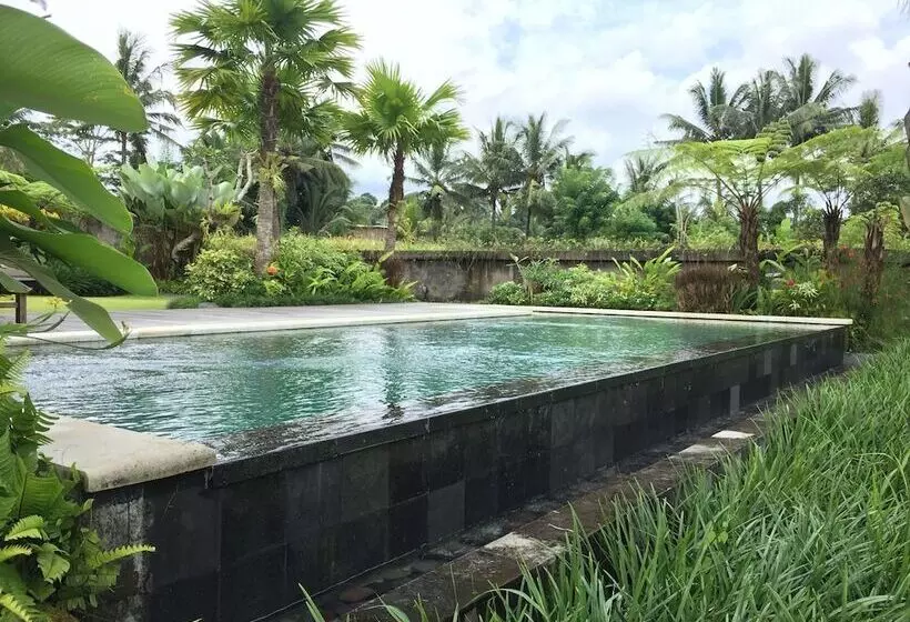 Aamiaismajoitus (B&B) The Suris Ubud