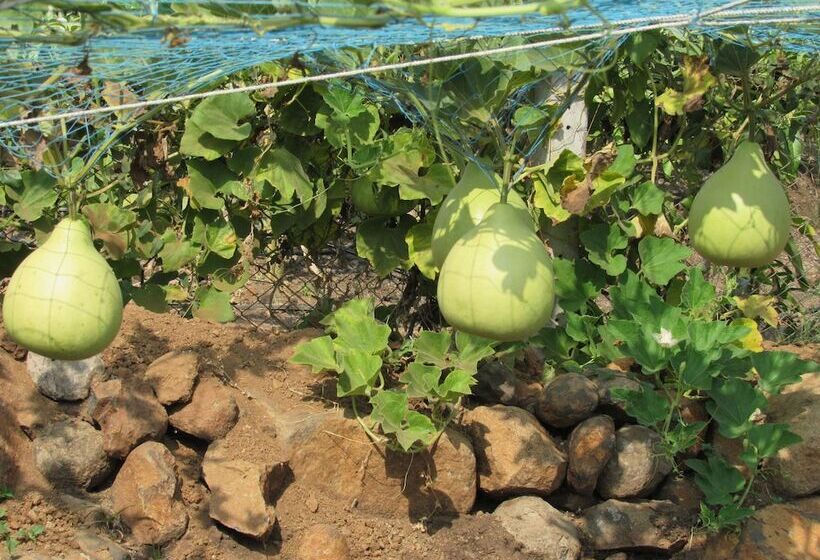 Hotel Anil Farm House