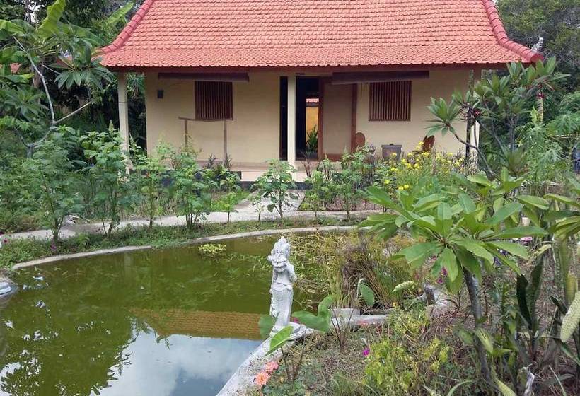 膳宿费 Bali Bila Bungalow