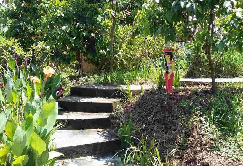 膳宿费 Bali Bila Bungalow