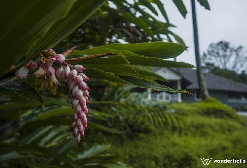 بنسيون Bungalow 1934   A Wandertrails Showcase