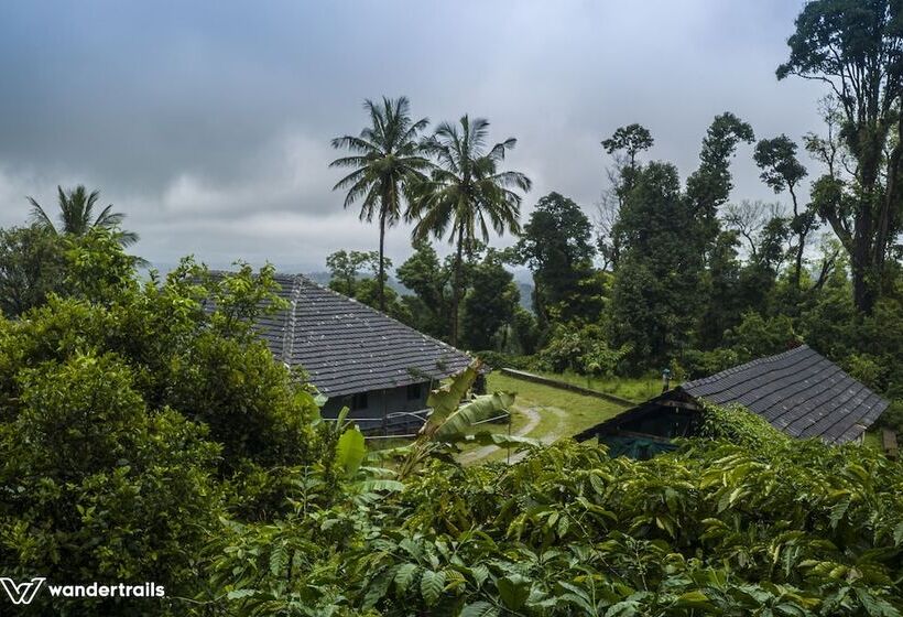 بنسيون Bungalow 1934   A Wandertrails Showcase